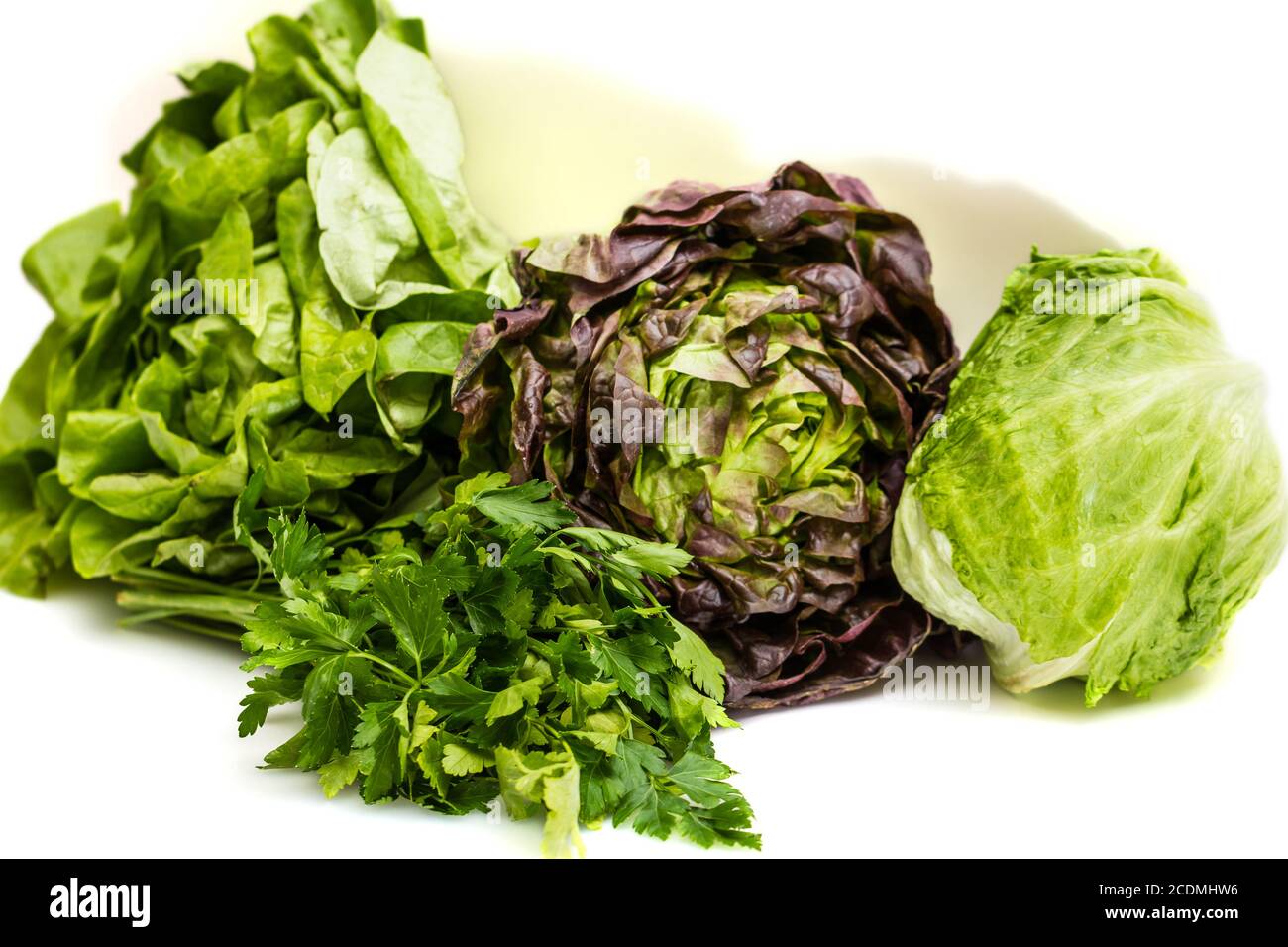 Verschiedene Sommergemüse - Petersilie, Kopfsalat, Eisberg Stockfoto