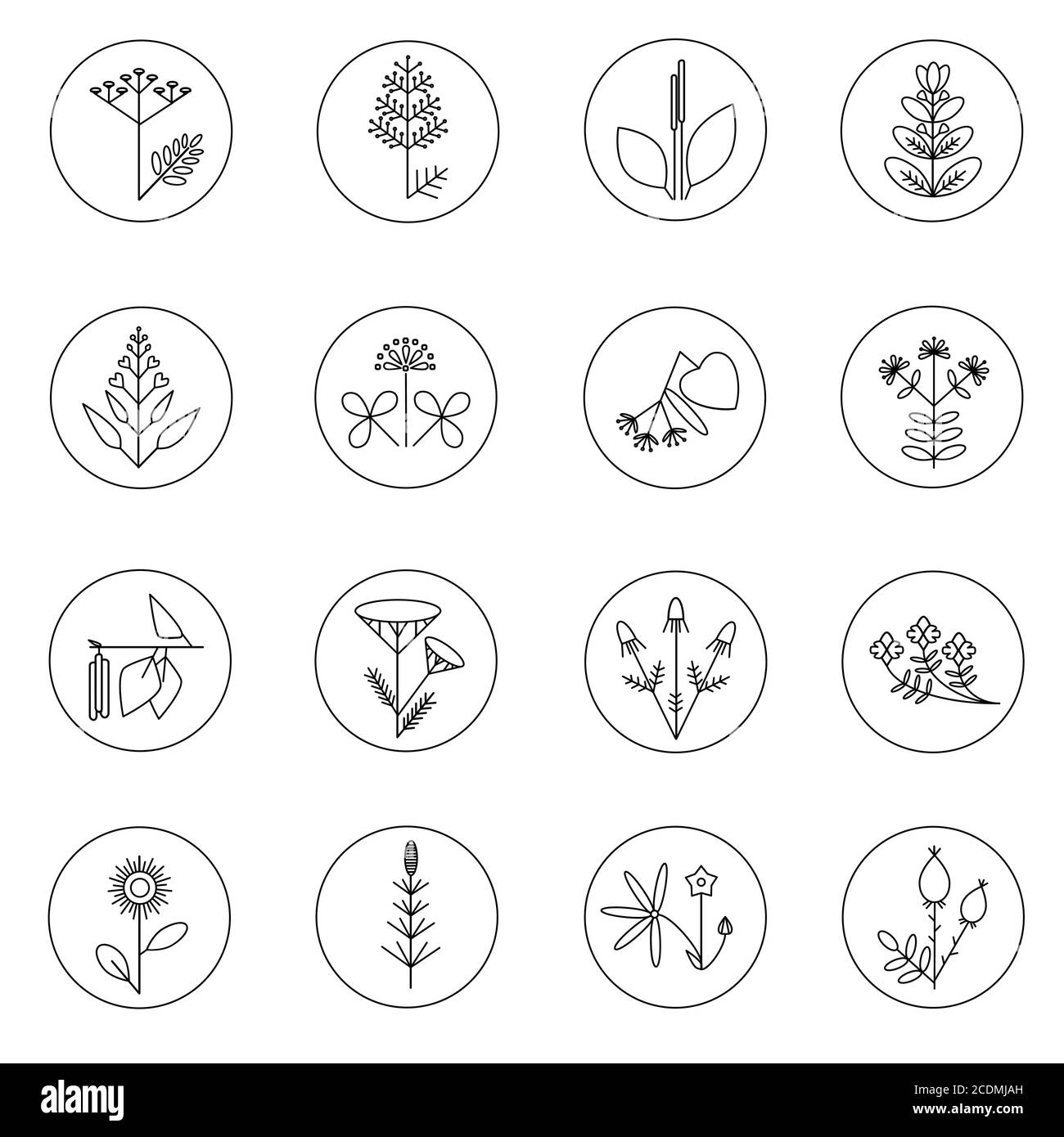 Symbole für Heilpflanzen. Minimalistische Pflanzen Illustrationen Stock Vektor