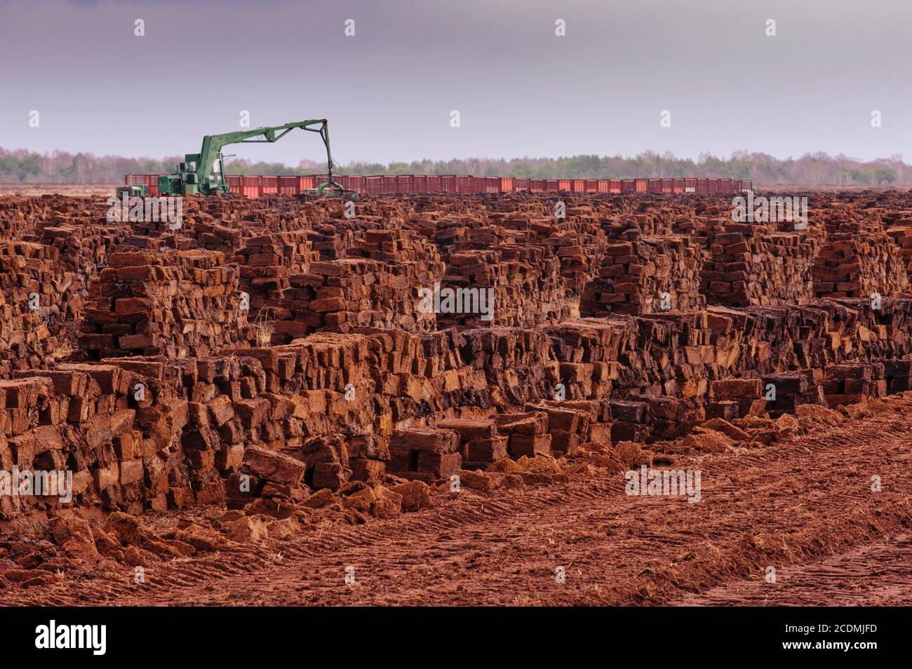 Auflagerung von Torfsoden im Moor, Torfgewinnung mit Bagger, CO2-Speicherung, Goldenstedter Moor, Oldenburger Münsterland, Goldenstedt, Niedersachsen Stockfoto