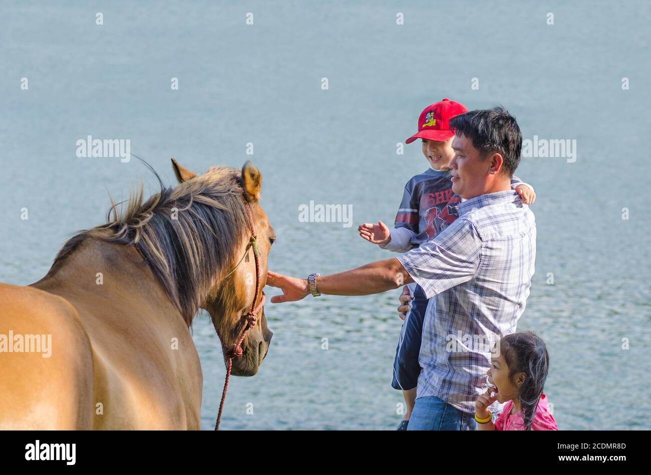 Mann und Junge klopfen Pferd Stockfoto