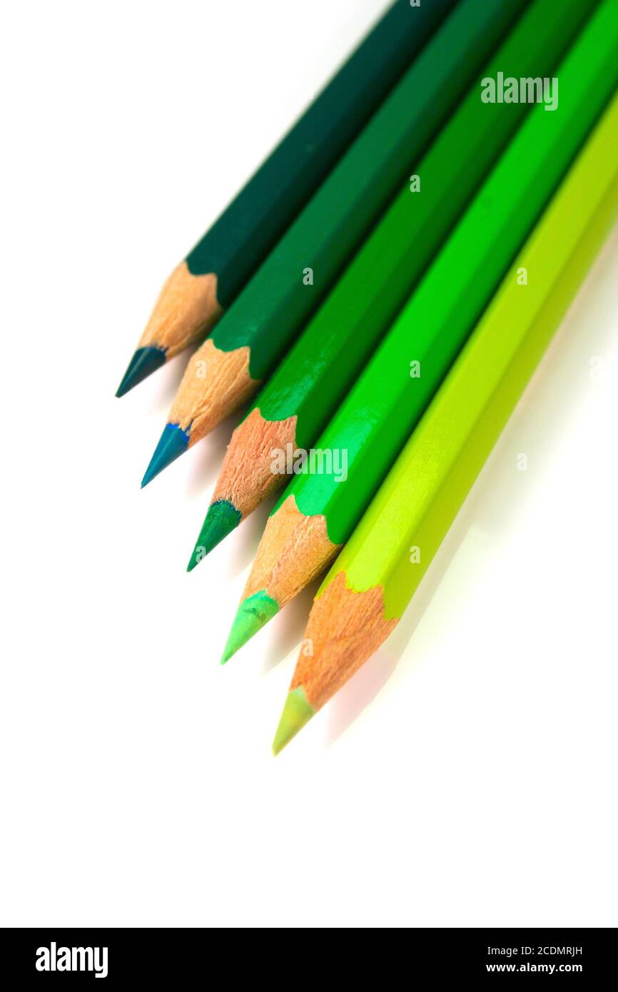 Grüne Buntstifte Stockfoto
