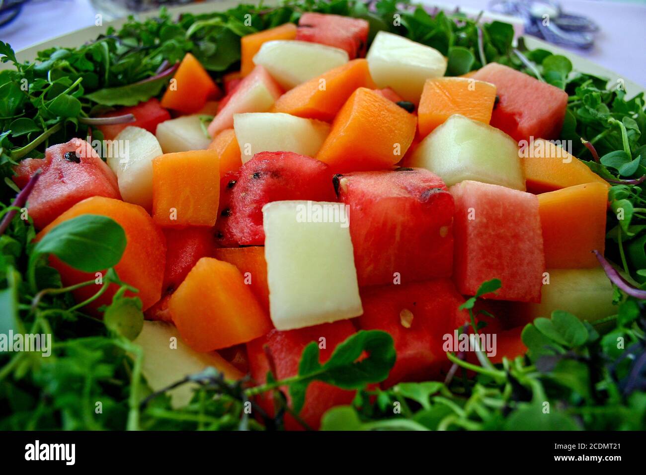 Melonen-Salat Stockfoto