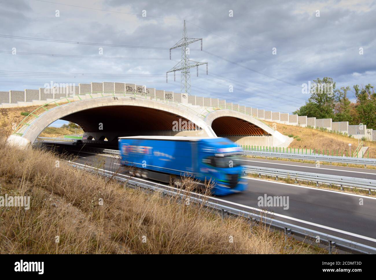 27. August 2020, Brandenburg, Trebbin/OT Thyrow: Eine Brücke für Tiere überquert die B 101 und die Thyrower Dorfstraße nicht weit vom Dorf entfernt. Nach Angaben des Bundesumweltministeriums des Landes Brandenburg gibt es derzeit zehn dieser rund 50 Meter breiten Bauwerke über Autobahnen und Bundesstraßen. Wie die Brücken von Wildtieren genutzt werden, zeigt der aktuelle Green Bridge Report des Landeskompetenzzentrums Forst Eberswalde. Es werden kameragestützte Langzeituntersuchungen durchgeführt, die unter anderem zeigen, dass die meisten Übergänge im stattfinden Stockfoto