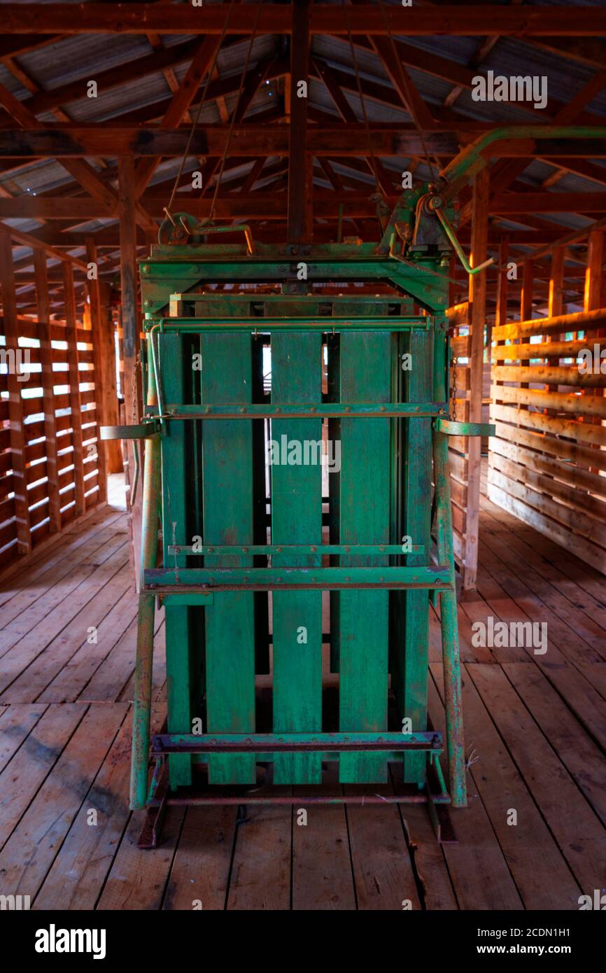 Green Wool Press im Inneren von Shearing Shed, Queensland, Australien Stockfoto