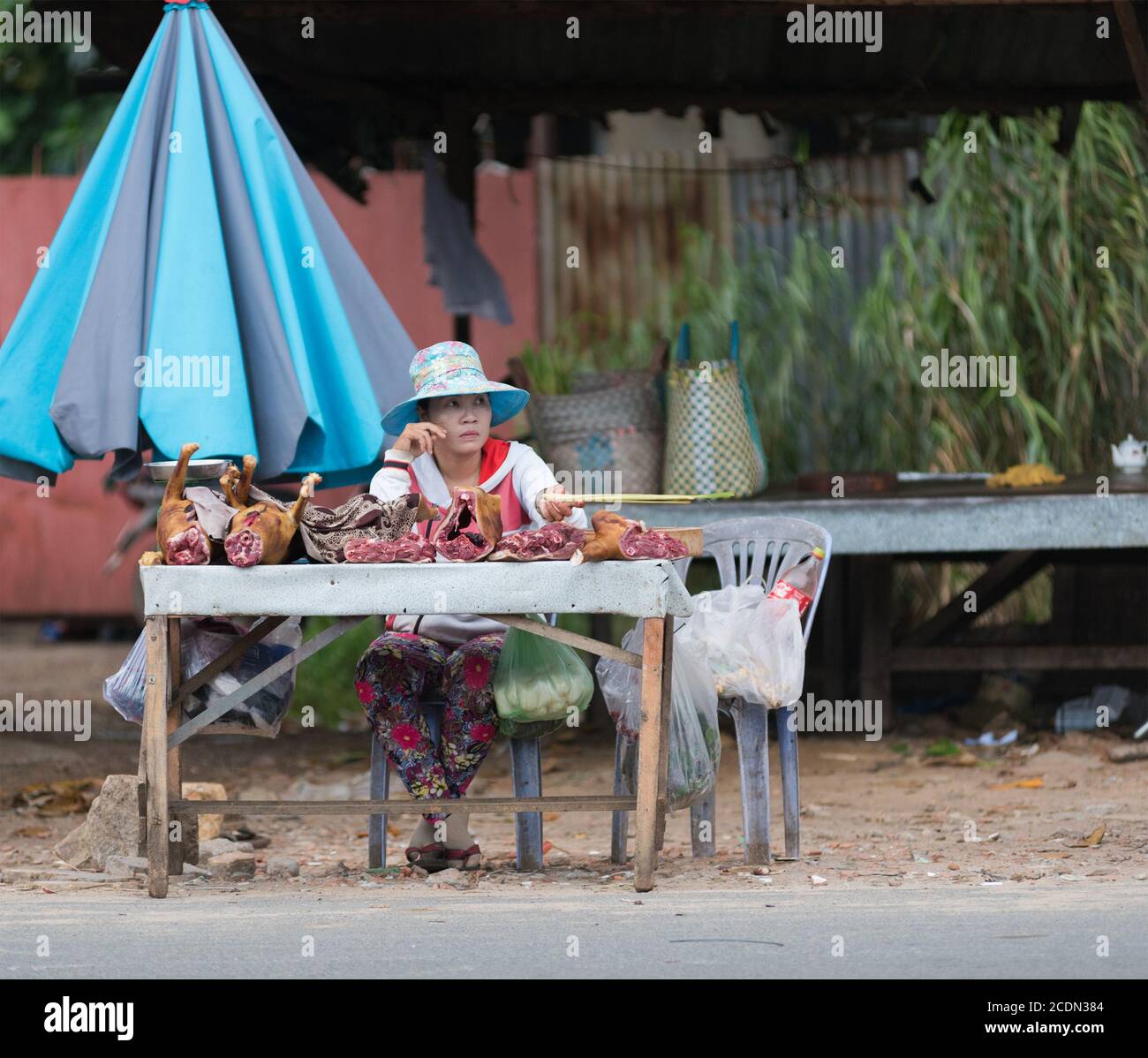 Hundefleisch Verkäufer in Vietnam Stockfoto