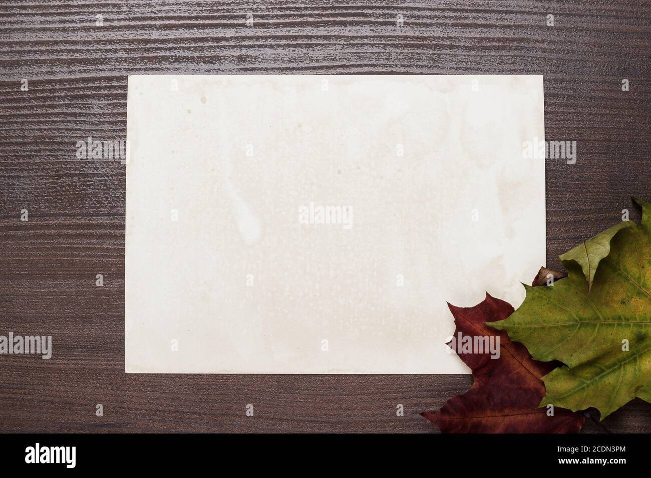 Einige Herbstblätter und blanck alten Foto-Hintergrund Stockfoto
