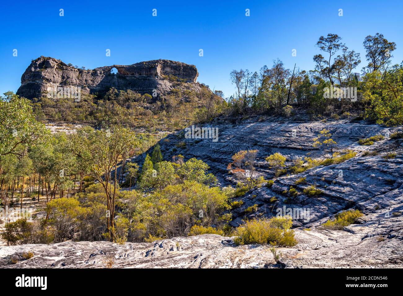 Spyglass Peak, Salvator Rosa Section Carnarvon National Park, Queensland, Australien Stockfoto