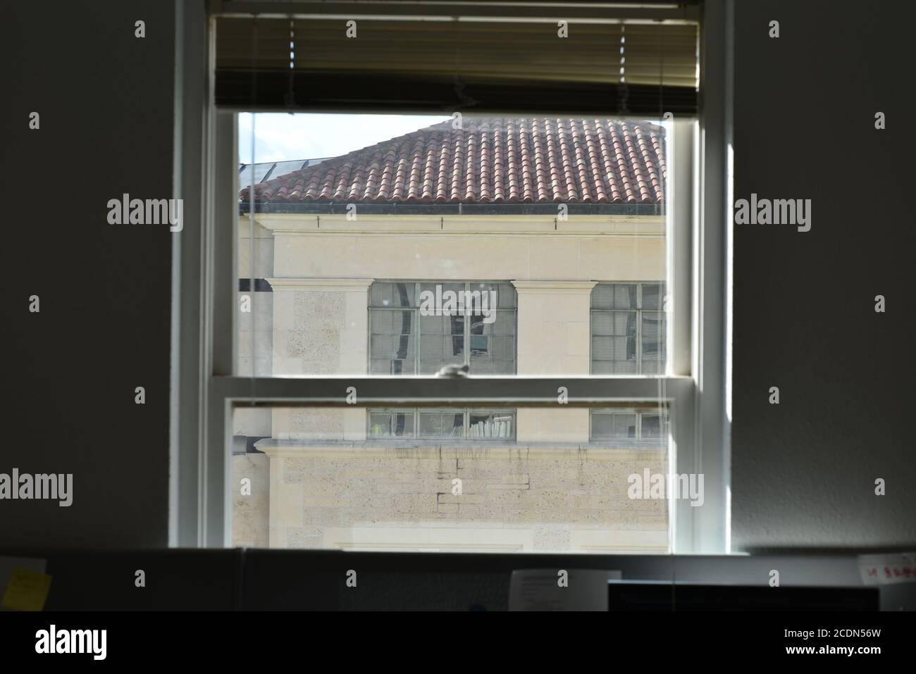 Historisches Gebäude durch doppelverglaste historische Fenster. Es zeigt das Goldsmith Building vom West Mall Building. Die Szene wurde in Austin, Tex, aufgenommen Stockfoto