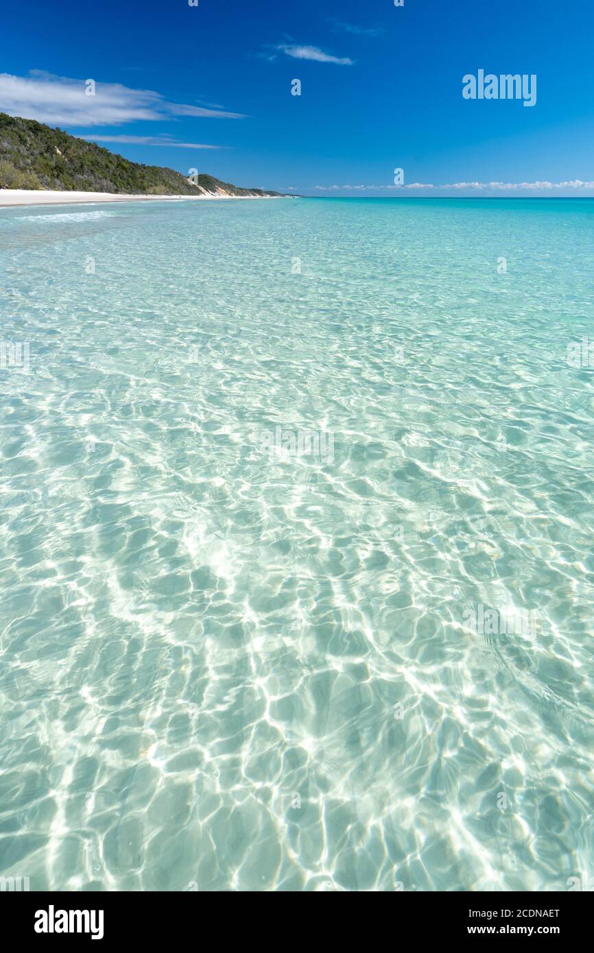 Weißer Sand und klares Wasser unter blauem Himmel, nahe Awinya Creek, Westufer Fraser Island, Hervey Bay Queensland Australien Stockfoto