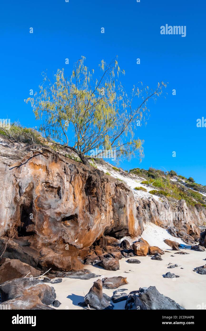 Erosion von Sanddünen am westlichen Ufer von Fraser Island, Hervey Bay, Queensland Australien Stockfoto