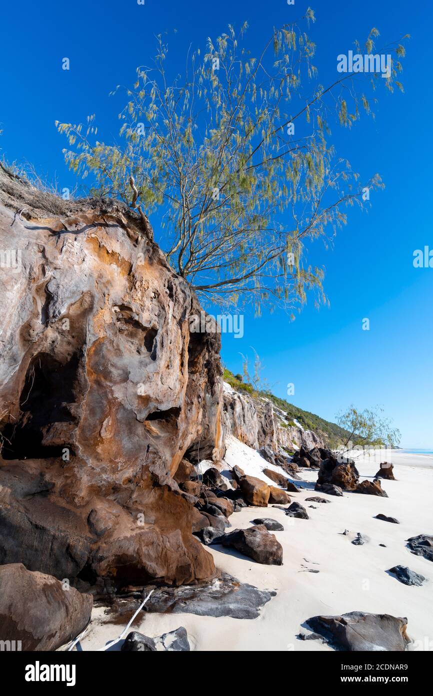 Erosion von Sanddünen am westlichen Ufer von Fraser Island, Hervey Bay, Queensland Australien Stockfoto