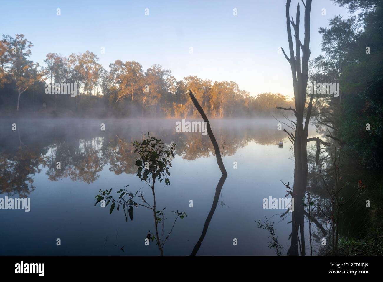 Morgennebel steigt aus Mary River Maryborough Queensland Stockfoto