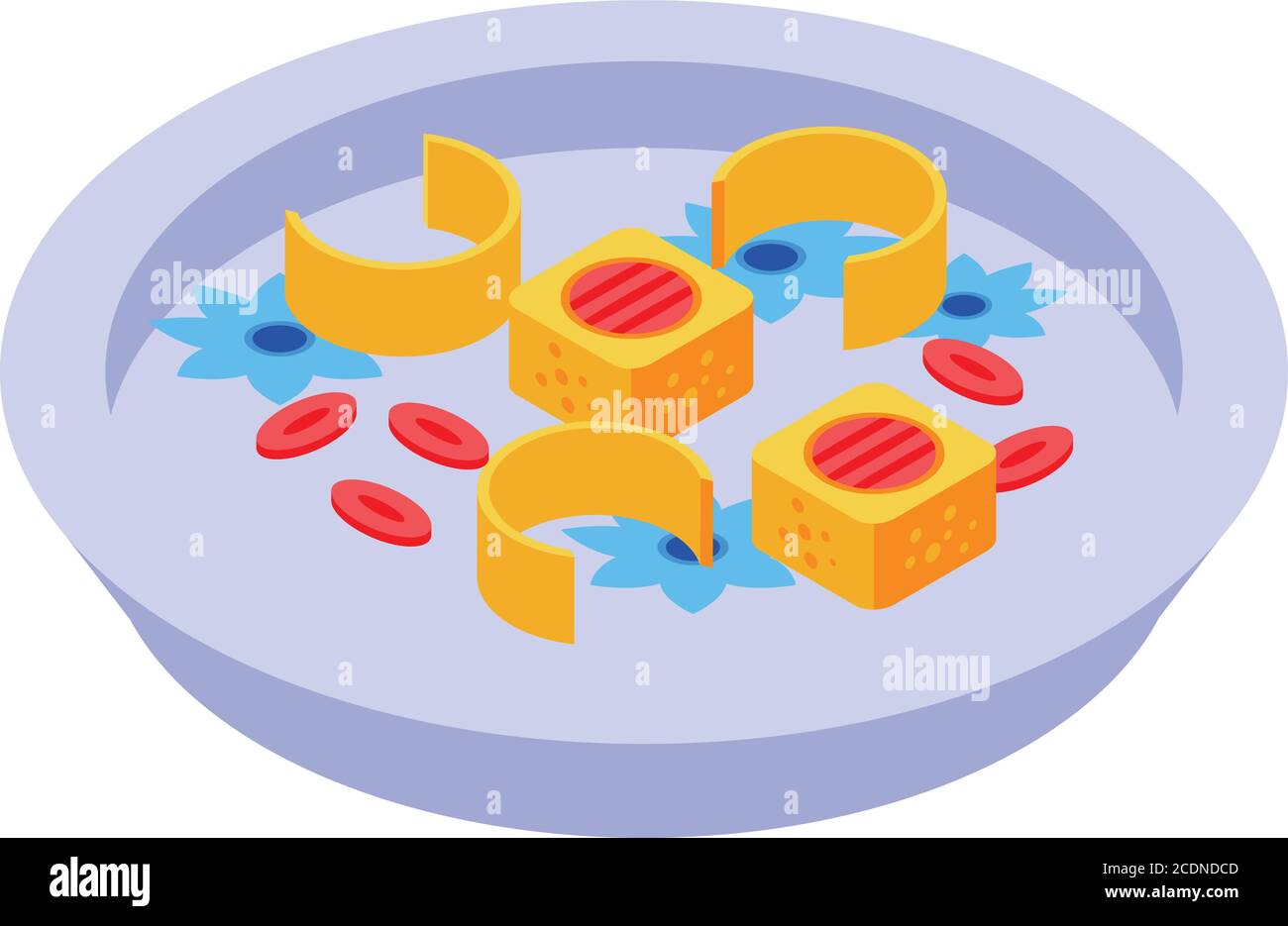 Sushi-Ikone der molekularen Küche, isometrischer Stil Stock Vektor