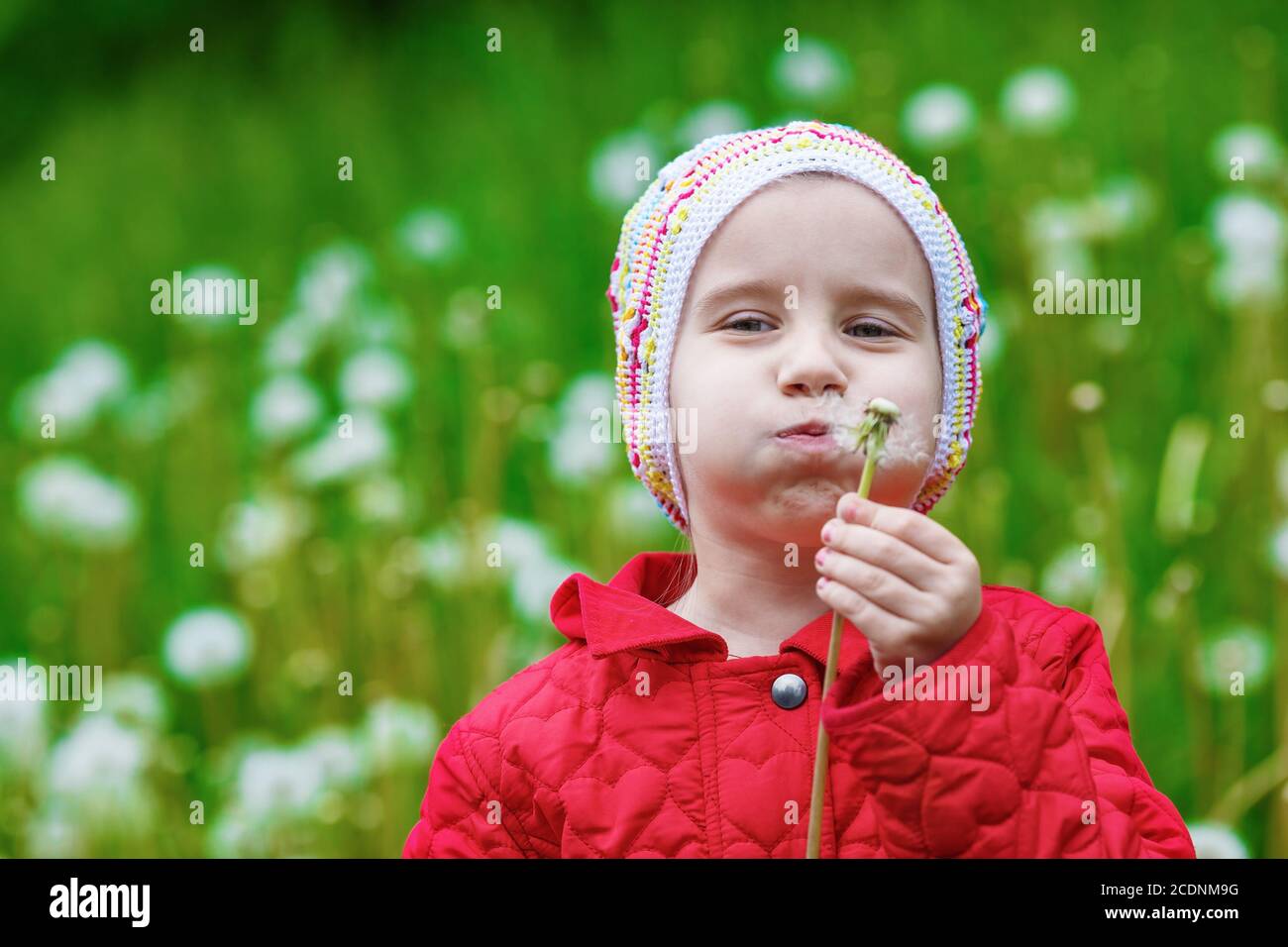 Baby bläst Löwenzahn Stockfoto