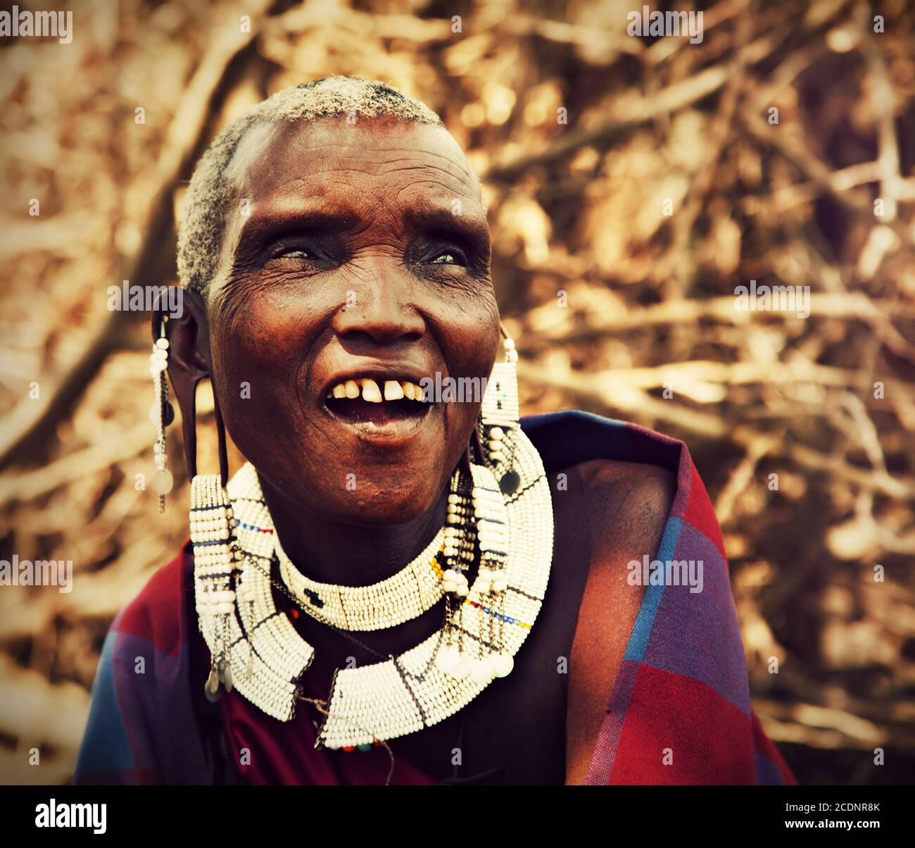 Maasai alte Frau Porträt in Tansania, Afrika Stockfoto