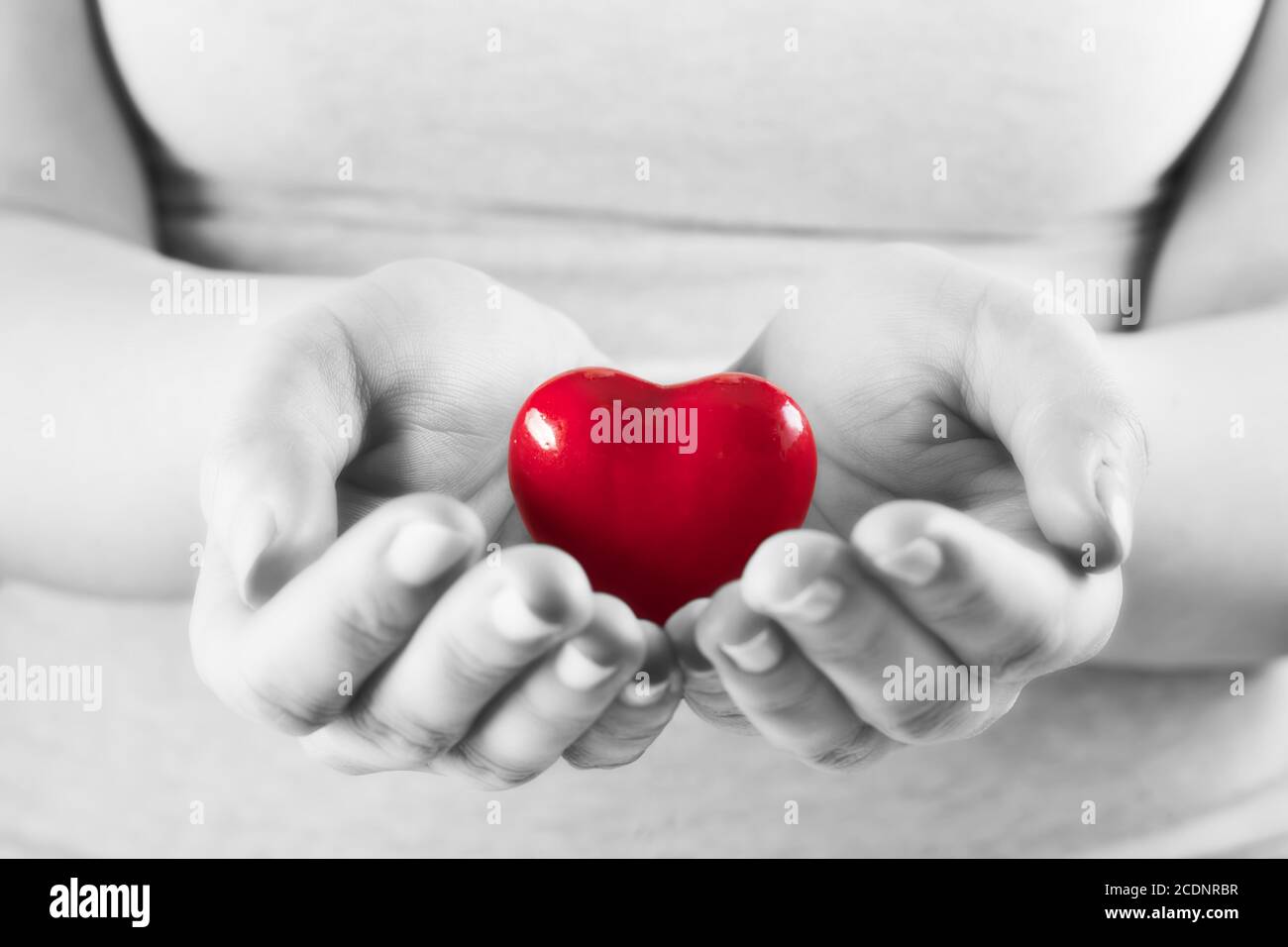 Herz in den Händen der Frau. Liebe geben, Pflege, Gesundheit, Schutz. Stockfoto