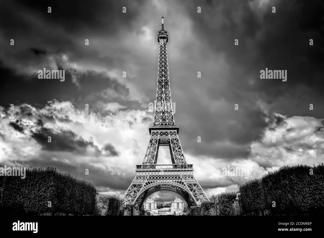 Eiffelturm vom Champ de Mars Park in Paris, Frankreich. Schwarz und Weiß Stockfoto