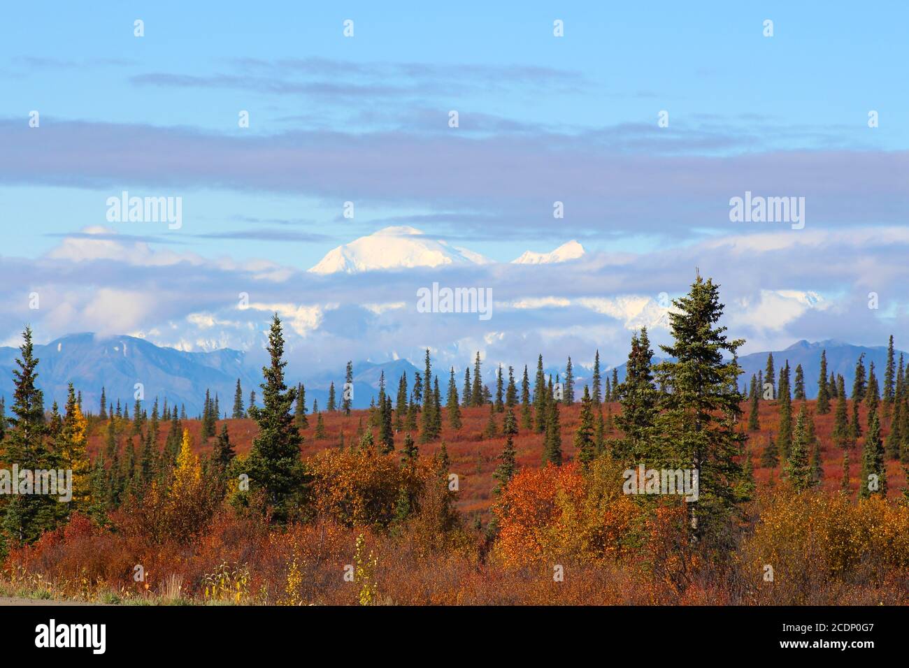 Denali National Park im Herbst, Alaska Stockfoto