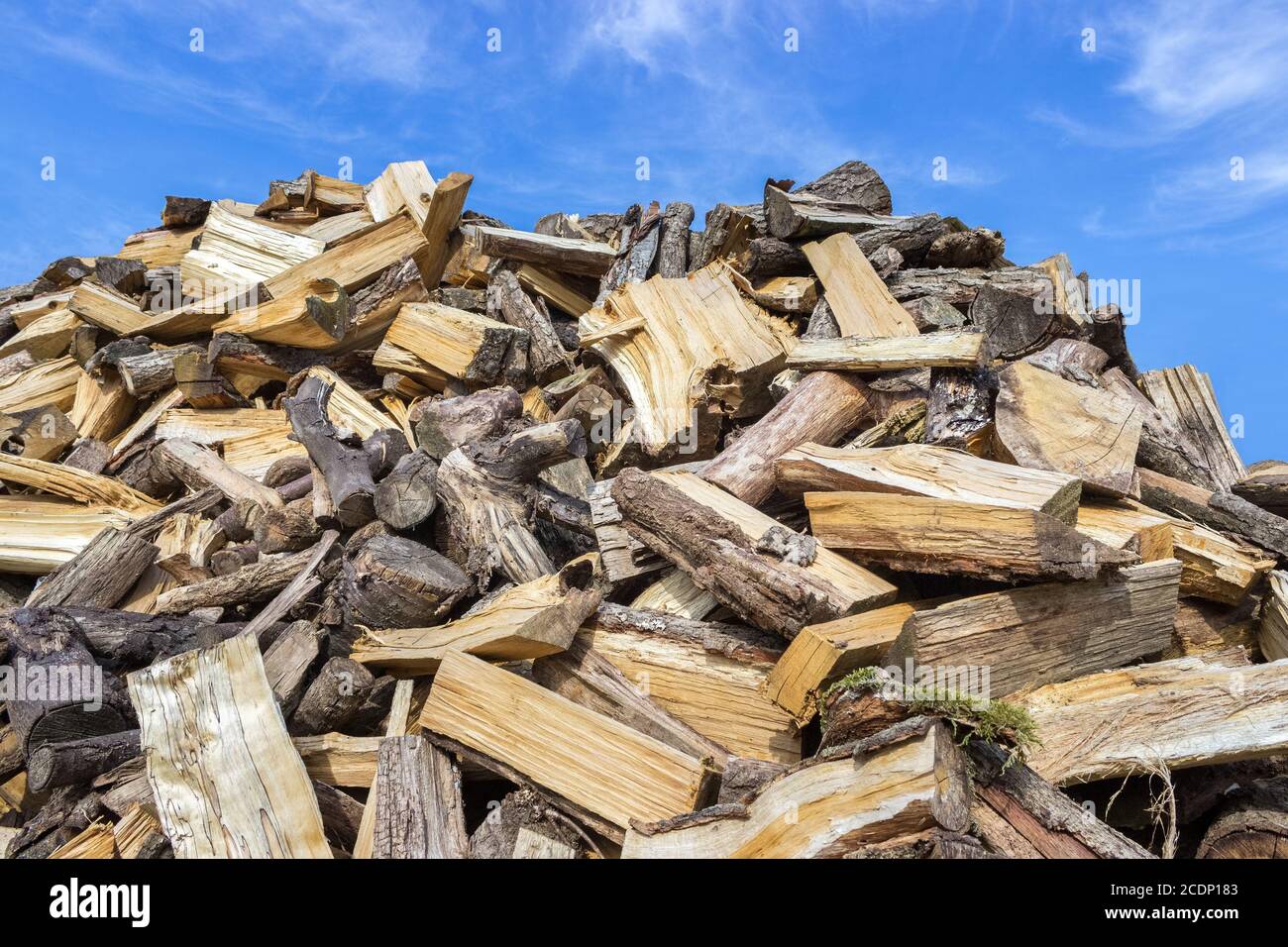 Großer Haufen gehackter Baumstämme zum Brennen von Holz Stockfoto