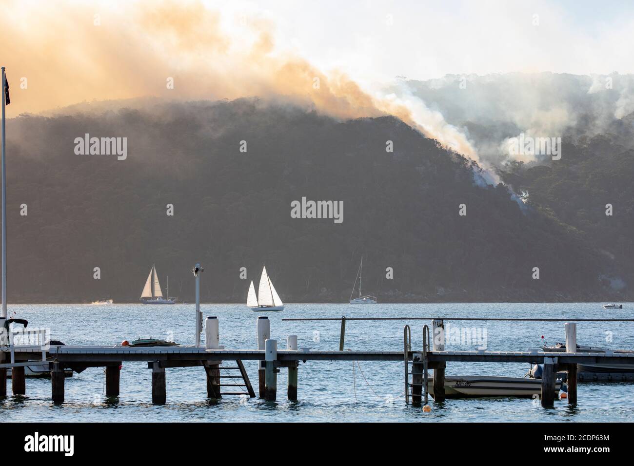 Kontrollierte Rückbrenngefahr Reduzierung der Verbrennung im Ku Ring Gai Nationalpark Australien vor der Buschfeuersaison Stockfoto