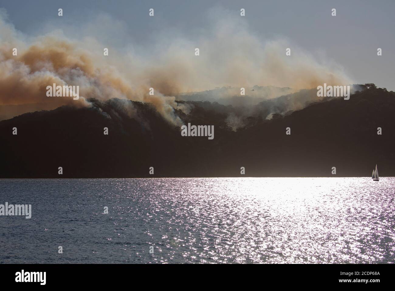 Kontrollierte Rückbrenngefahr Reduzierung der Verbrennung im Ku Ring Gai Nationalpark Australien vor der Buschfeuersaison Stockfoto