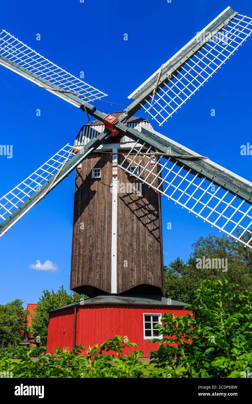 Buck Windmühle in Dornum Stockfoto