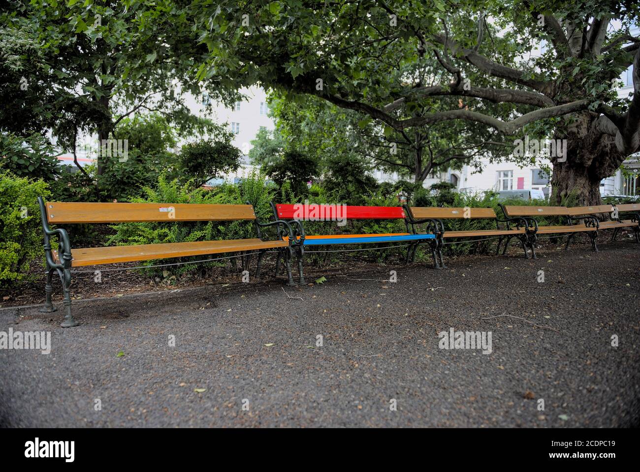 Bunte Parkbank inmitten normaler Bänke 1 Stockfoto