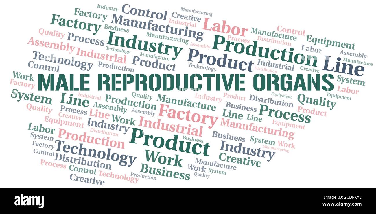Männliche reproduktive Organe Wort Wolke erstellen nur mit dem Text. Stock Vektor