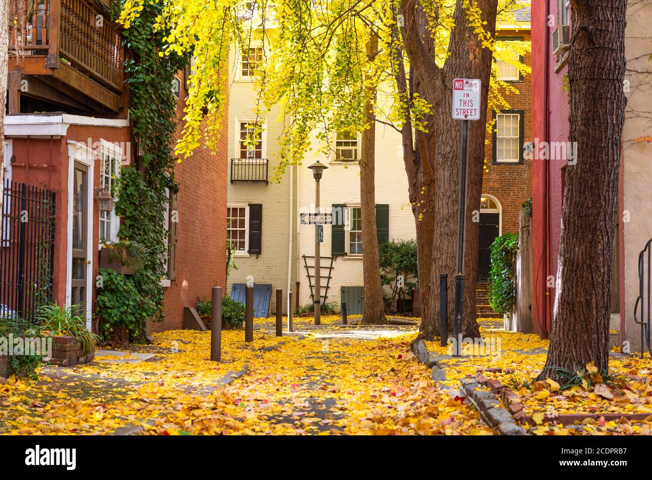 Herbstliche Gasse in einem traditionellen Viertel in Philadelphia, Pennsylvania, USA. Stockfoto