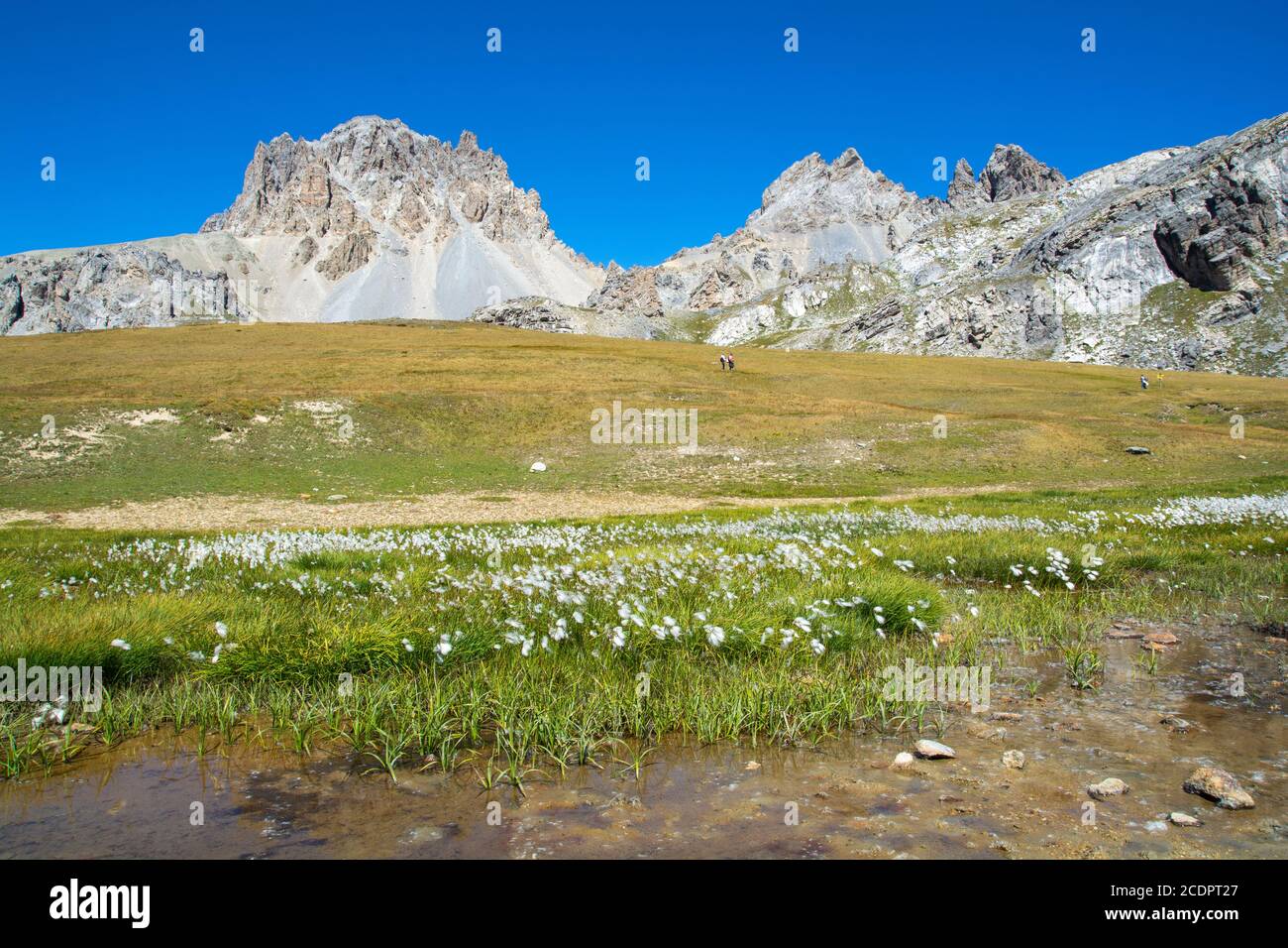 Trekking auf alpinen Pfaden, zwischen Seen von seltener Schönheit und unberührten Gipfeln Stockfoto