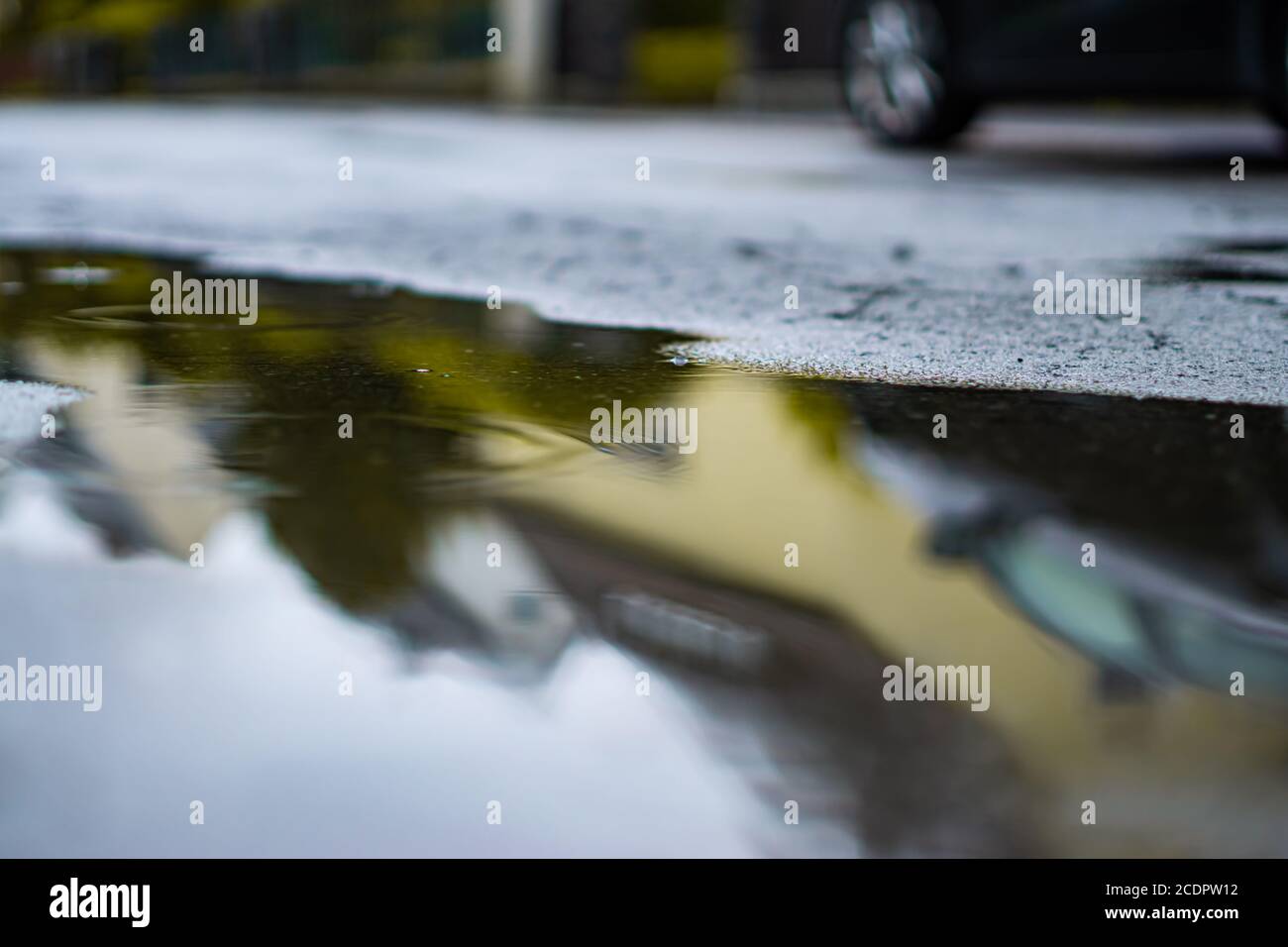 Regen Pfütze auf der Straße Stockfoto