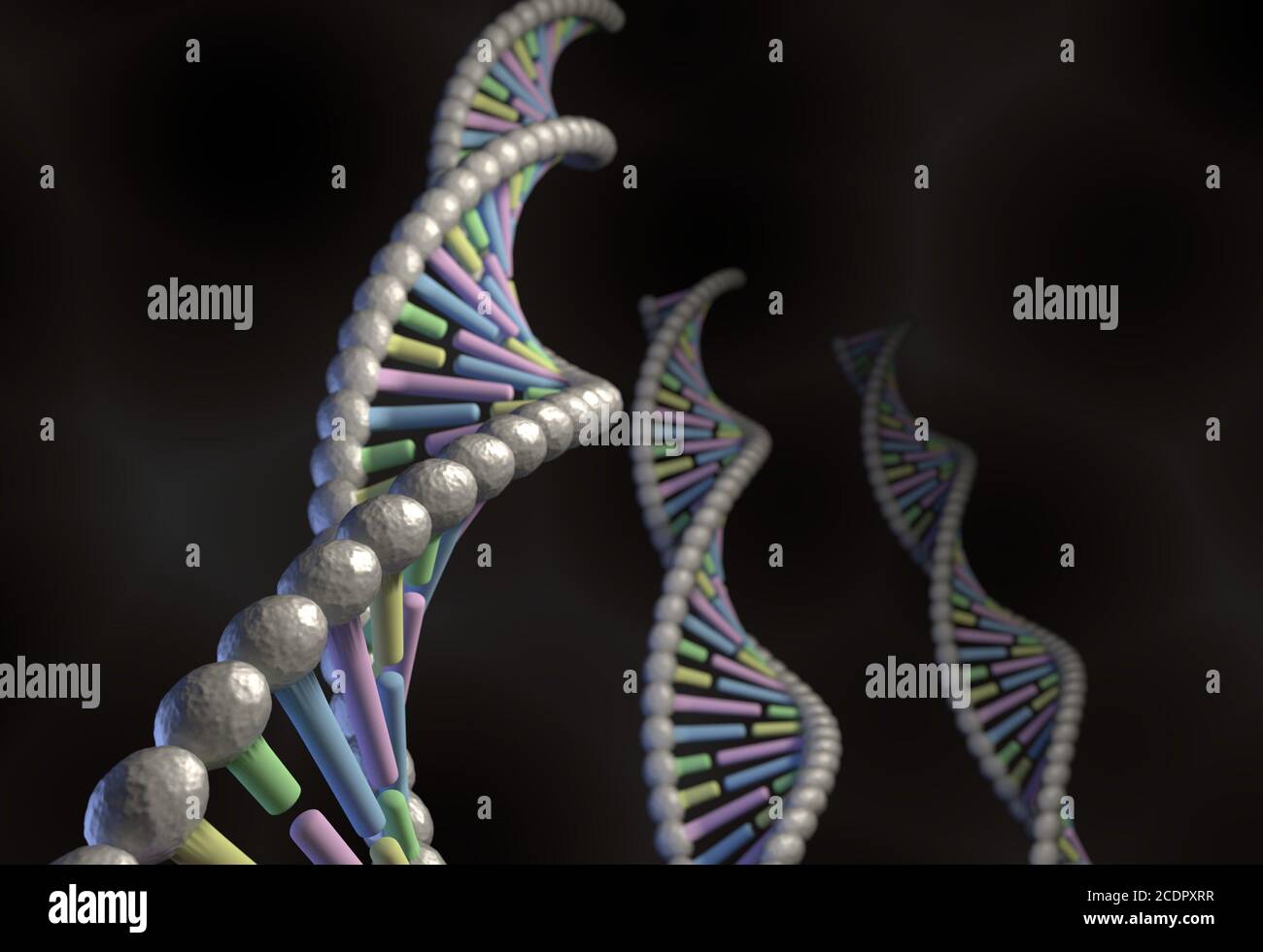 DNA-Molekül mit Farbe Code Guanin timin Adein Citosine auf schwarz Stockfoto
