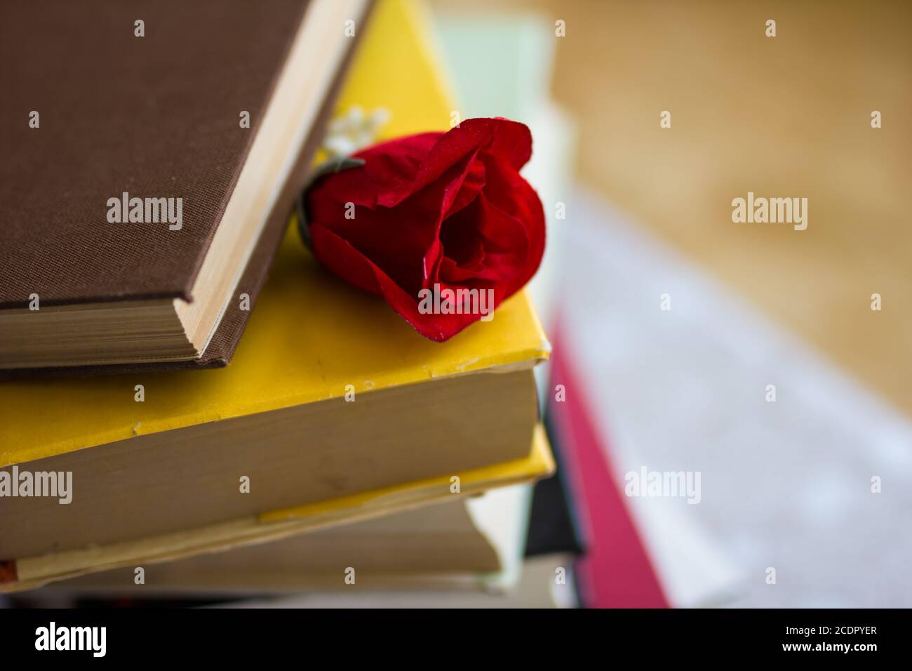 Nahaufnahme von gestapelten alte Bücher und Lehrbuch Stockfoto