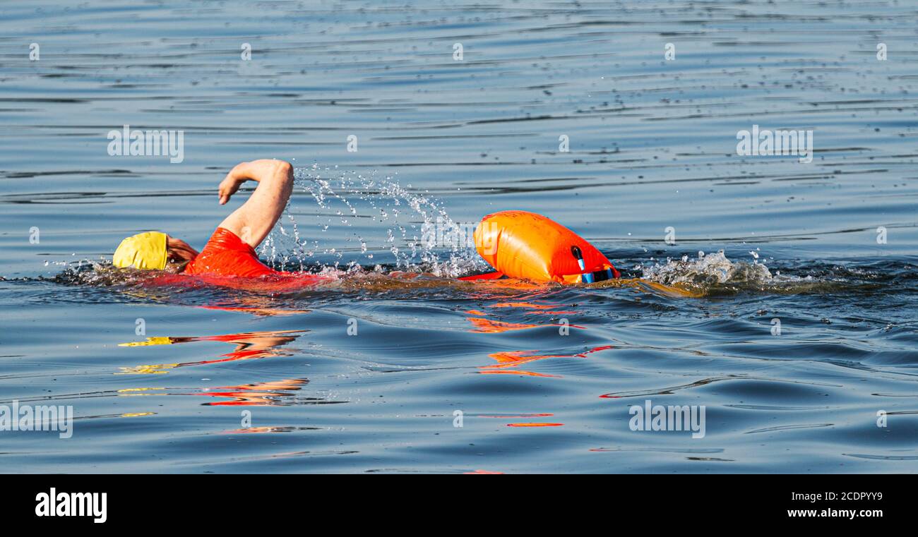 Ein einzelner Schwimmer trainiert in der Bucht mit einem roten Oberteil, einer gelben Badekappe und einem orangefarbenen Sicherheitsflotationsgerät. Stockfoto
