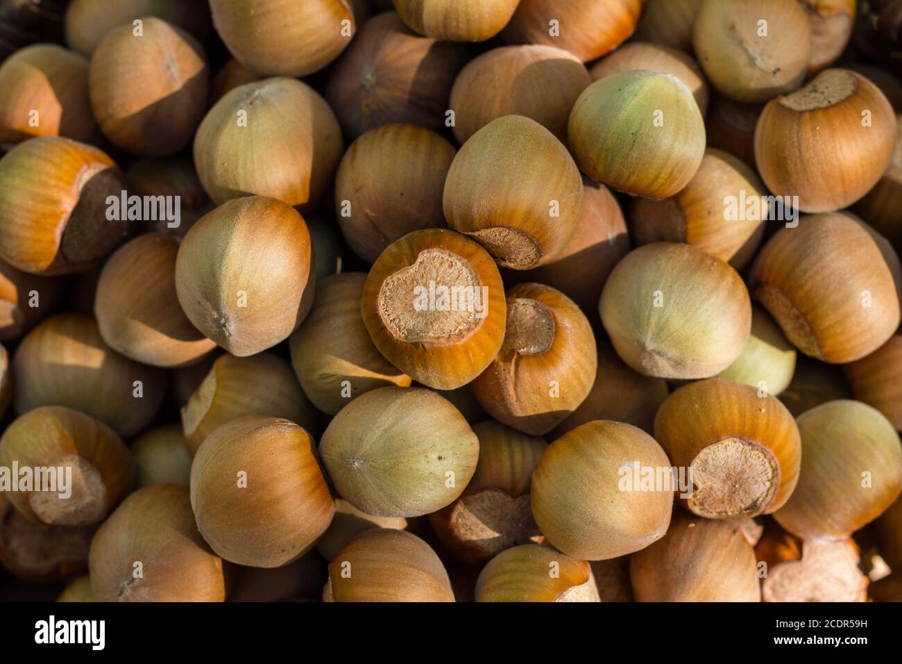 Ein Korb mit gerösteten Haselnüssen einladen Stockfoto