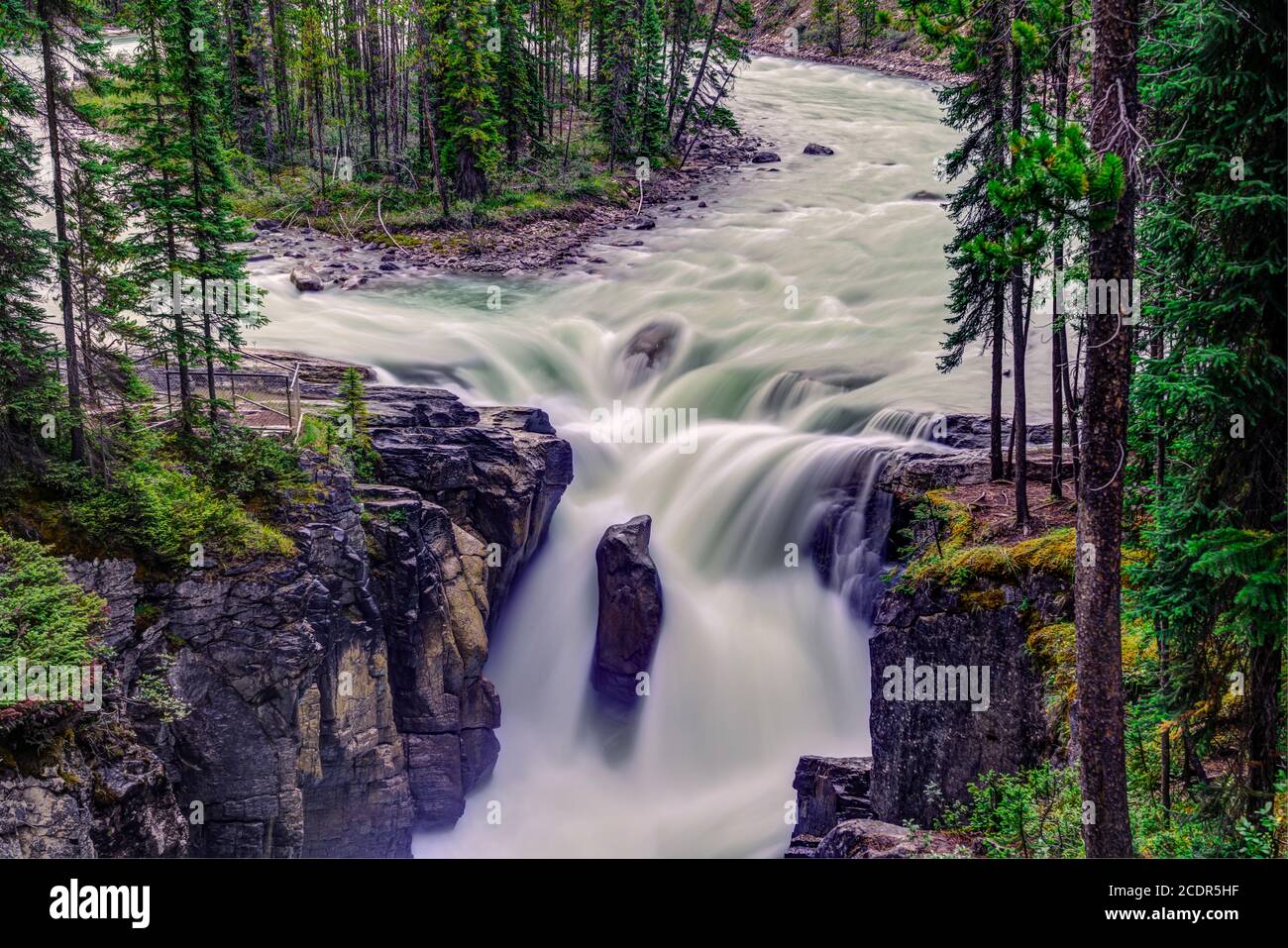 Die Sunwapta Falls entlang des Icefields Parkway, Alberta, Kanada. Stockfoto