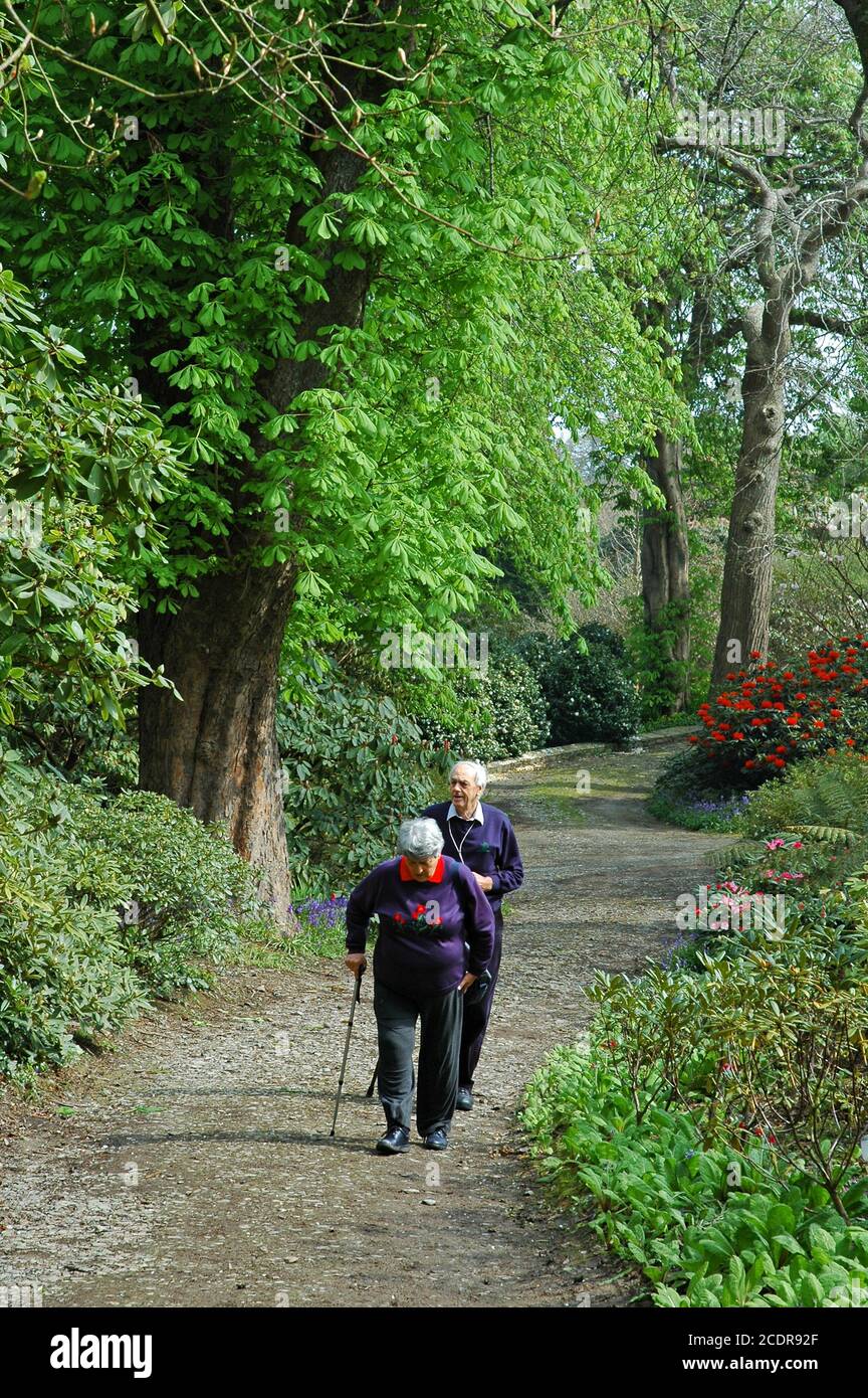 Paar zu Fuß in Mount Congreve Estate, Kilmeadon, Co. Waterford, Irland. April. Stockfoto
