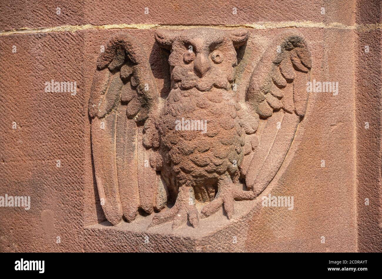 Eule in Stein gemeißelt auf dem Rundbogen eines Fensters, Rathausgasse Nr. 15, Freiburg, Baden-Württemberg, Deutschland. Stockfoto