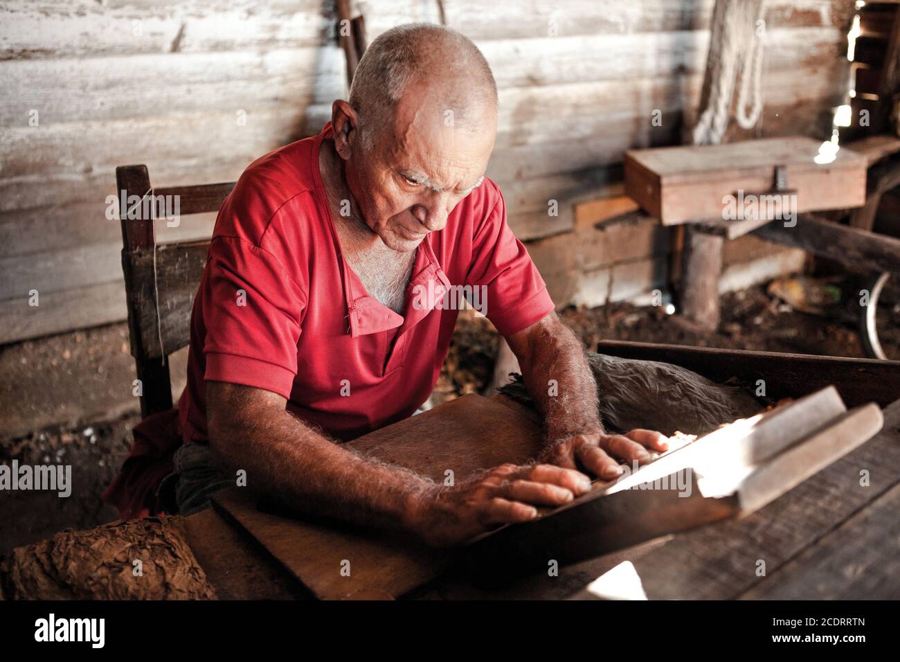 Ein älterer Mann arbeitet an der traditionellen Zigarrenplantage kubanische Tabakfabrik Stockfoto