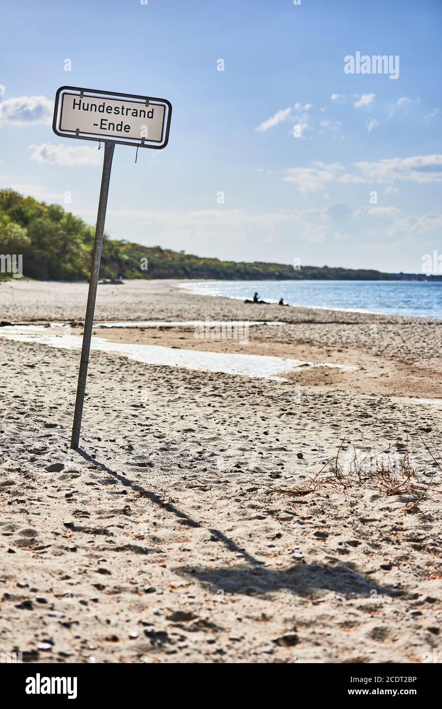 Dog Beach - Ende Stockfoto