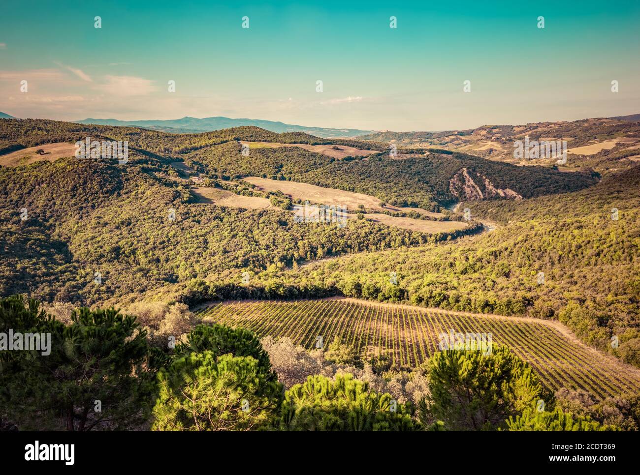 Toskana Landschaft mit grünen Wiesen, Weinbergen, Wäldern. Italien. Antenne Stockfoto
