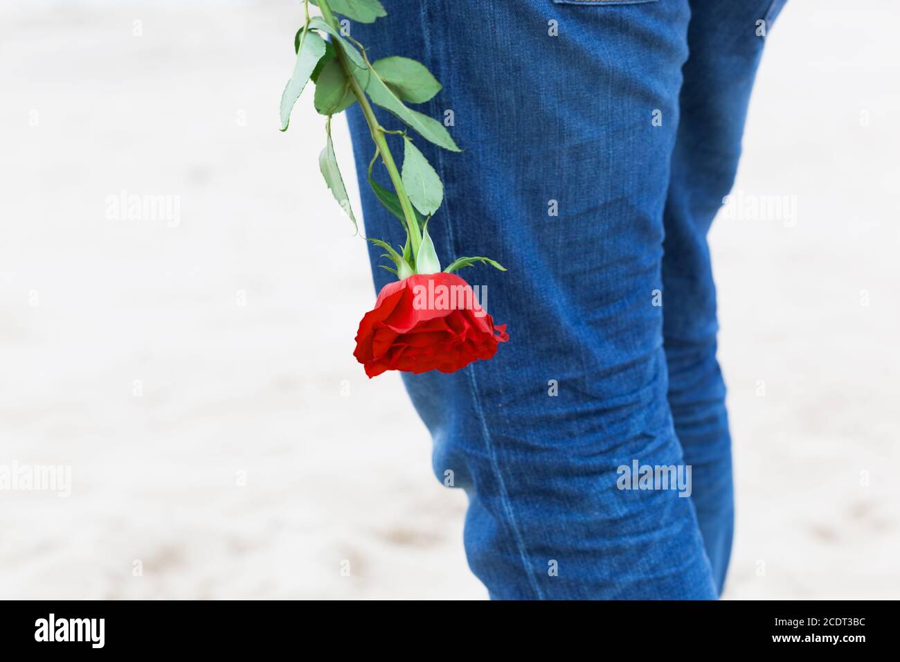 Mann mit einer Rose hinter seinem Rücken wartet auf Liebe. Romantisches Date am Strand Stockfoto