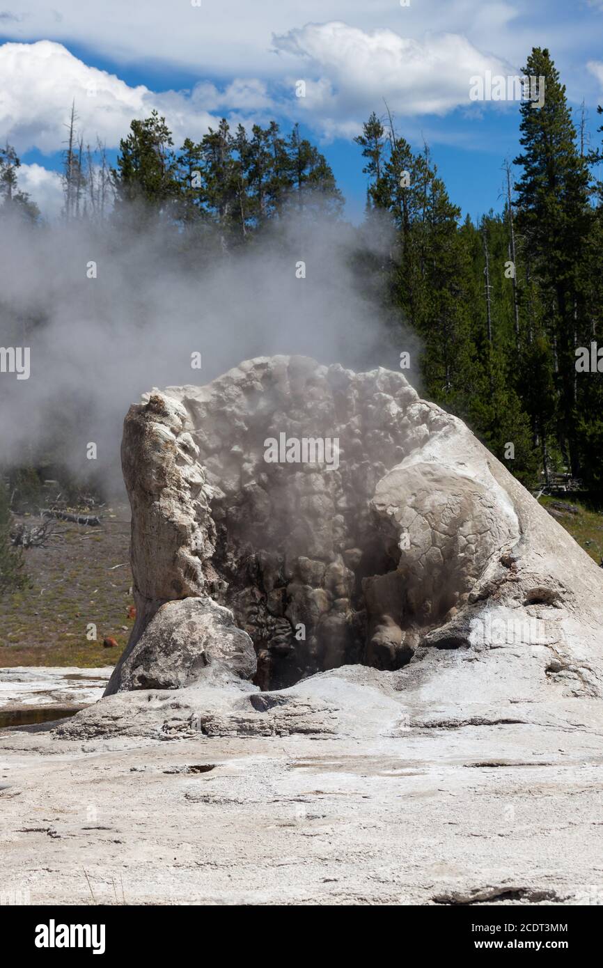 Die bakterielle und mineralische Bildung von Giant Geyser mit Dampf steigt vor dem Hintergrund von grünen Bäumen und Himmel im Yellowstone National Park, Wyomin Stockfoto