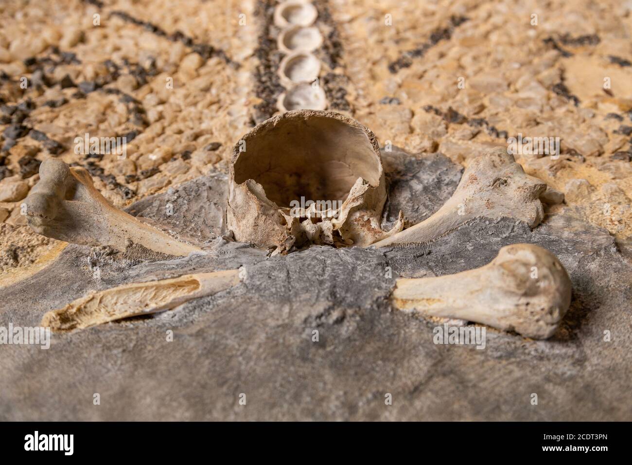 Der zerbrochene Schädel und die Knochen eines Menschen an der Wand in der Kirche. Stockfoto