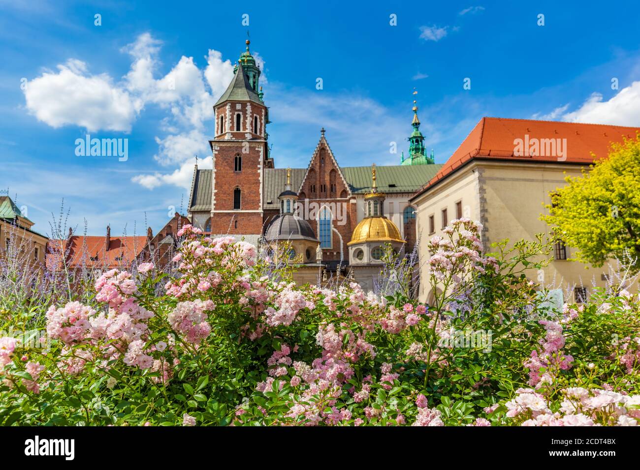 Wawel-Kathedrale, Krakau, Polen. Blick vom Innenhof mit Blumen. Stockfoto