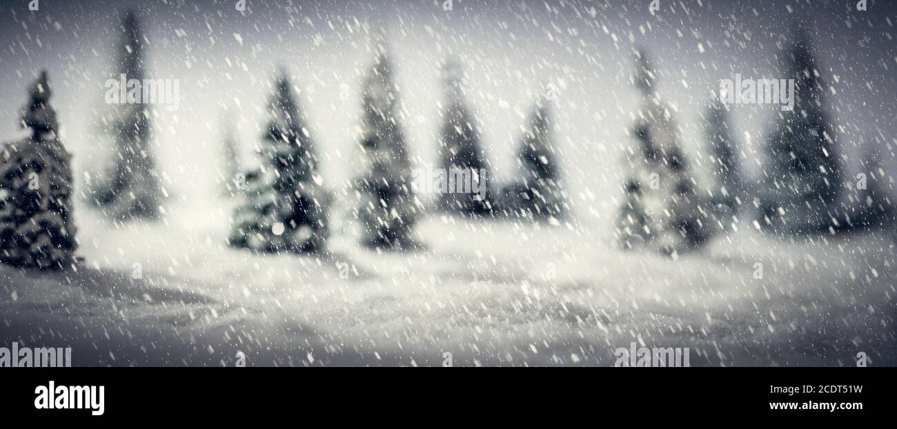 Winterwald aus Miniatur-Spielzeugbäumen. Fokus auf Schnee Vordergrund. Stockfoto