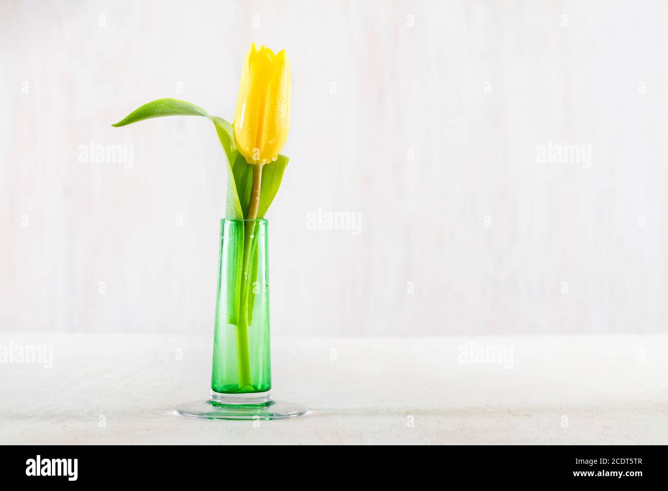 Einzelne frische Tulpe in einer Glasvase auf einem Holztisch. Stockfoto
