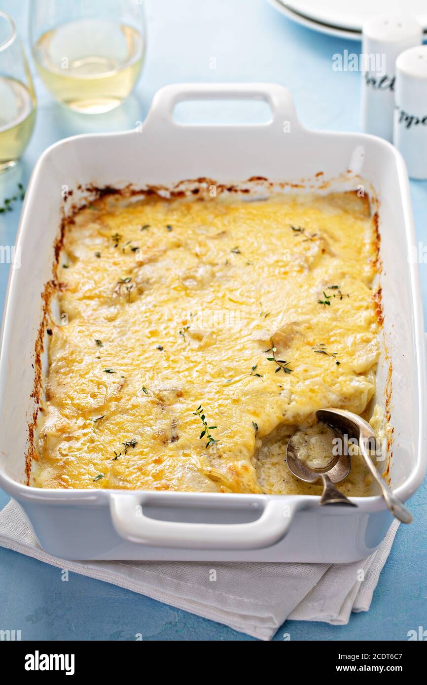 Käse-Kartoffel-gratin Stockfoto