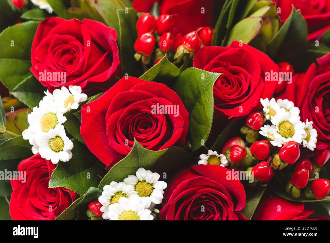 Hochzeitsbouquet von roten Rosen und dasies. Makroaufnahme mit selektivem Fokus von oben mit flachem Freiheitsgrad Stockfoto