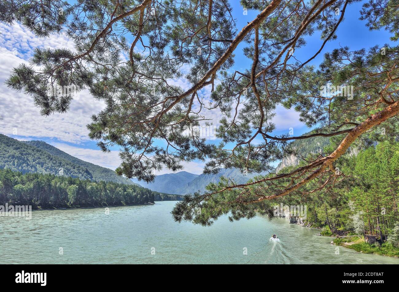 Erstaunlicher türkisfarbener Gebirgsfluss zwischen bewaldeten Ufern - sonniger Sommer Querformat Stockfoto